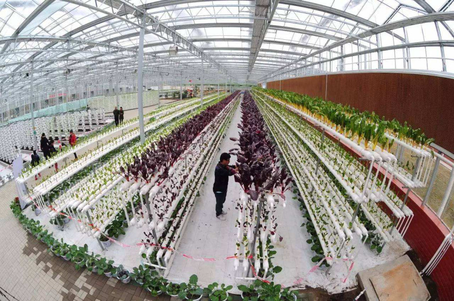 恒大最牛基地是哪里,恒大为什么建城堡