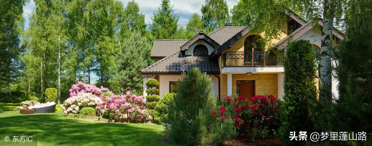 富豪门丈夫令美貌小三怀孕，她出家当尼姑，后来弟子三千