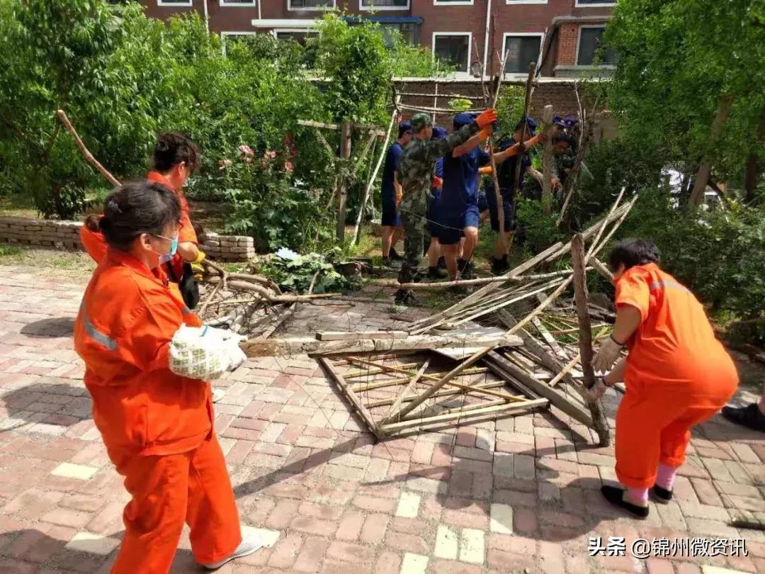 凌河区菊园街道携手建业物业！多措并举助力创城