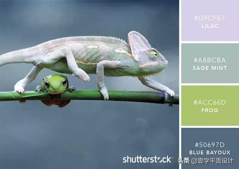 设计师钟爱的9组高级感配色方案,家装设计师配色方案色卡