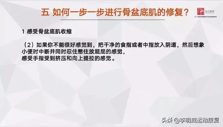 女性紧致骨盆训练方法,骨盆修复的正确锻炼方法