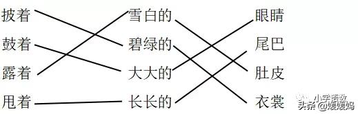 二年级上册小蝌蚪找妈妈听写词语,朗读二年级上册语文小蝌蚪找妈妈