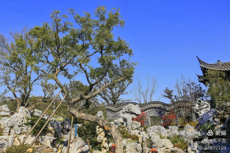 南京园博园时光亦谷游玩攻略路线,紫清湖和园博园哪个值得一去