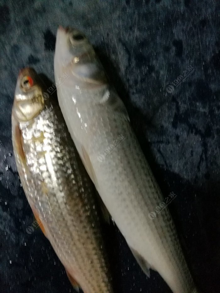 小学生眼中的人,小学生眼中的英雄人物