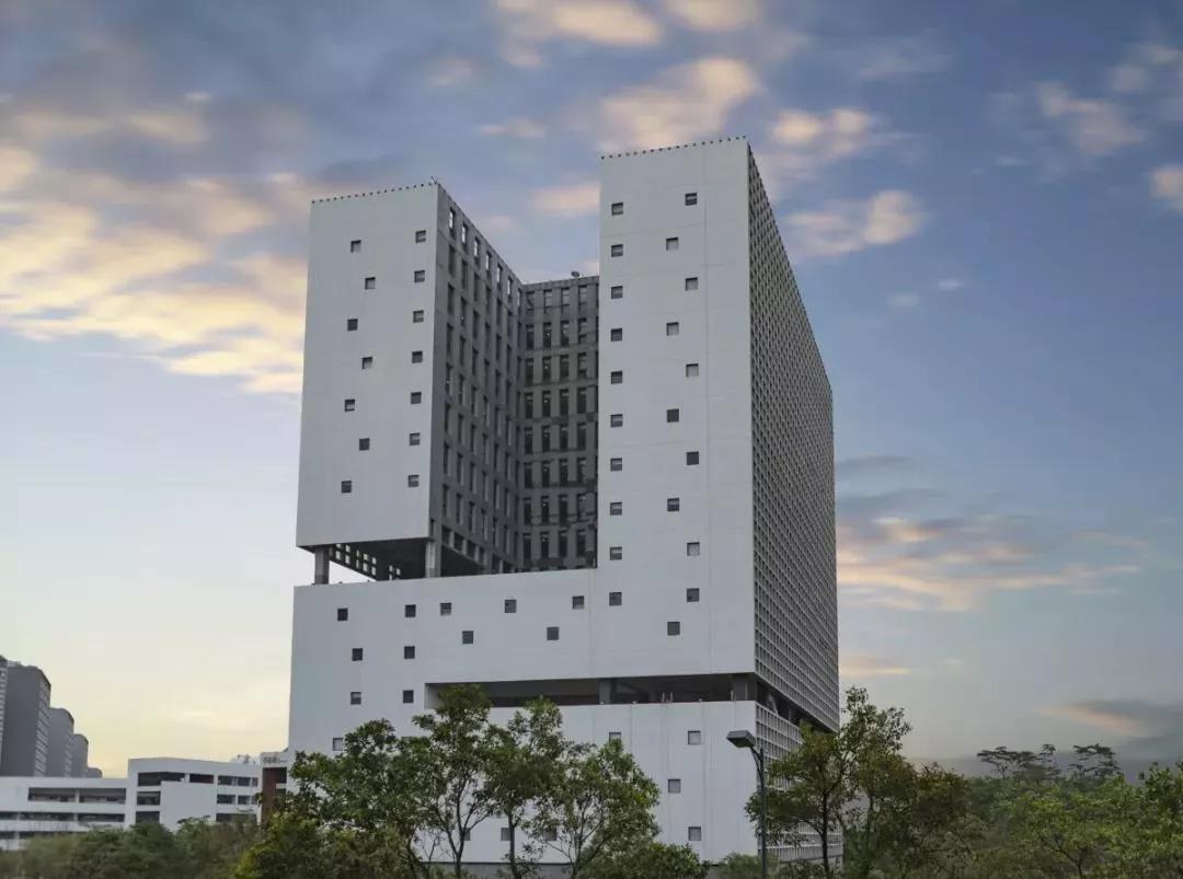 广东高考排名前三的专科学校,广东专科学校排名前十公办分数线