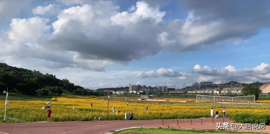 曾一度被看好，如今却陷入争议，龙岗没有前途了？