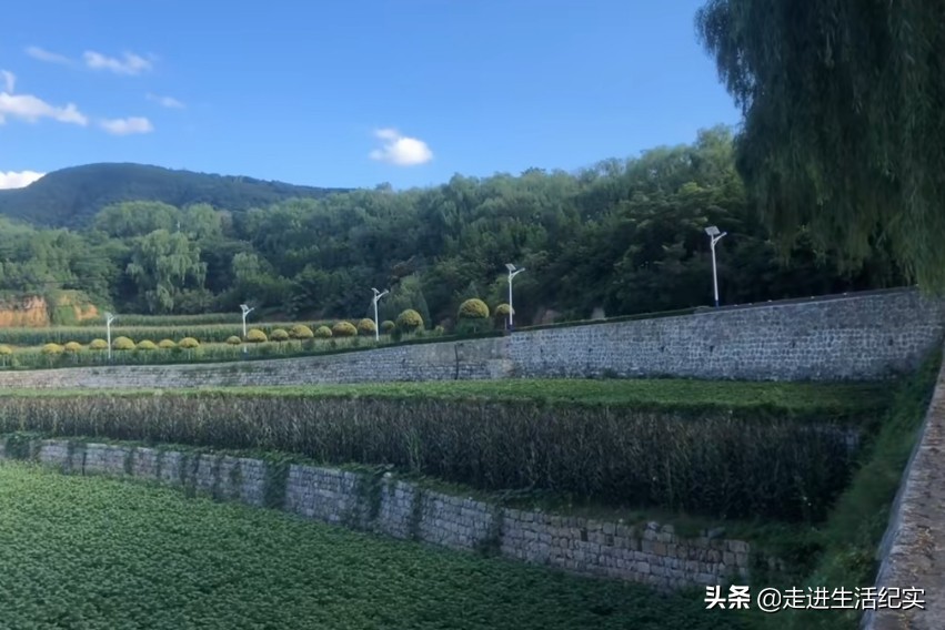 山西昔阳县大寨村再掀绿色蝶变,山西昔阳大寨村真实近况