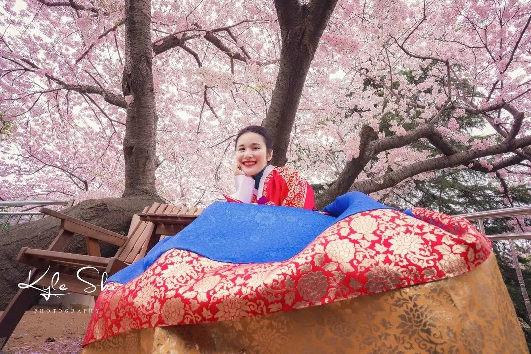 樱花季去日本价格高吗,樱花季去日本旅行