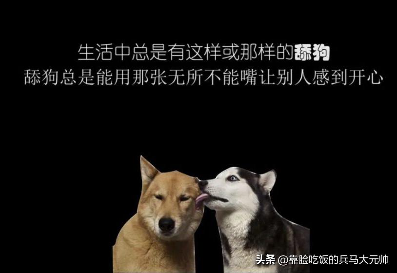 如果被狗舔了会怎么样,突然舔狗子会发生什么