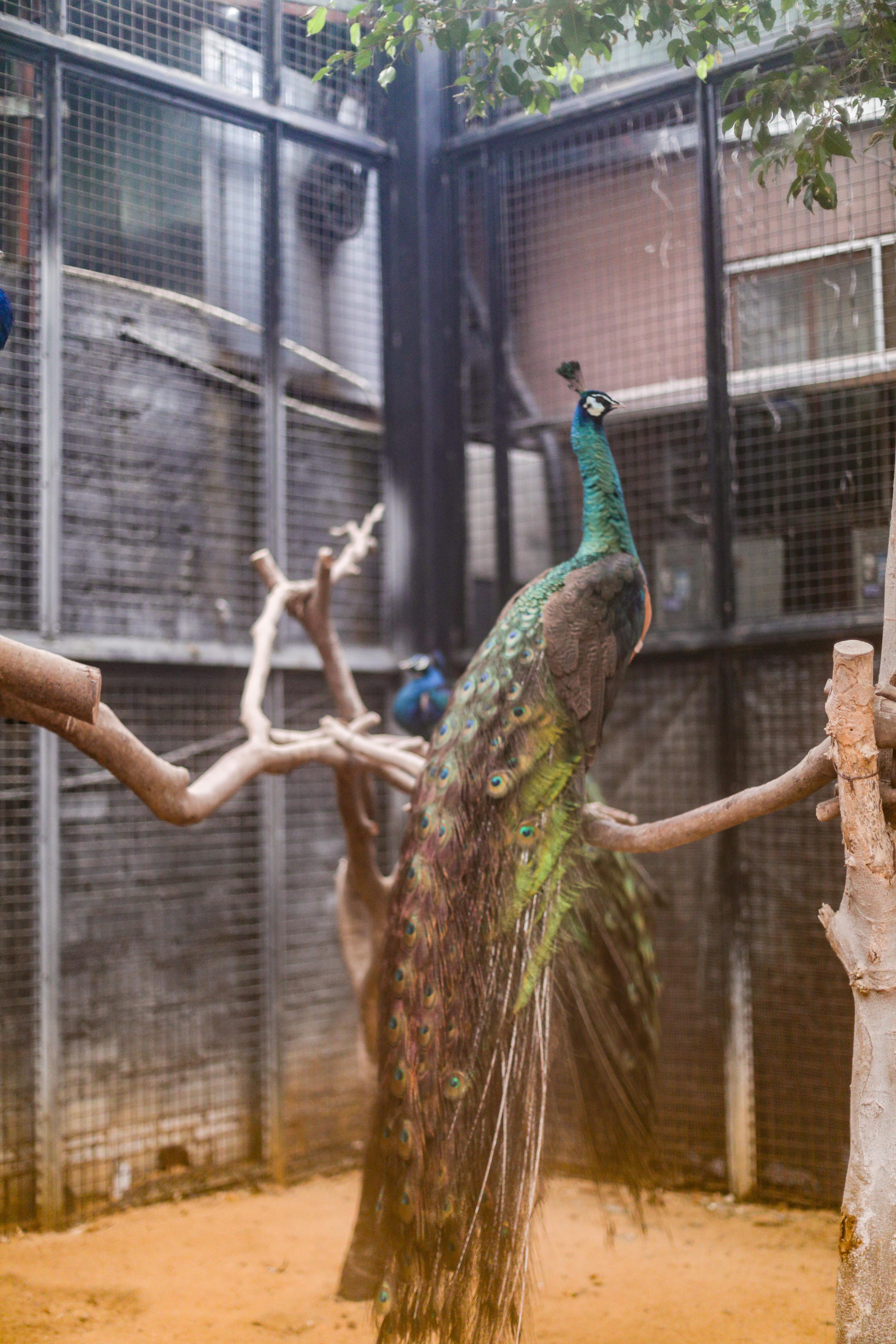 景点打卡东莞隐贤山庄,暑假东莞亲子游玩好去处隐贤山庄