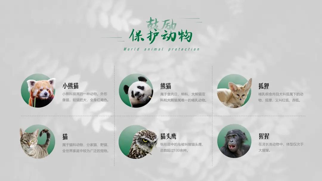 ppt排版设计技巧ppt制作培训教程,ppt优秀的图文排版案例