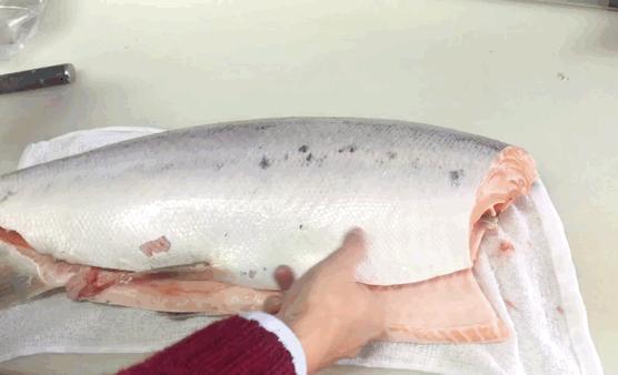 别拦我！古井第四届「肥鱼节」来来来来来啦