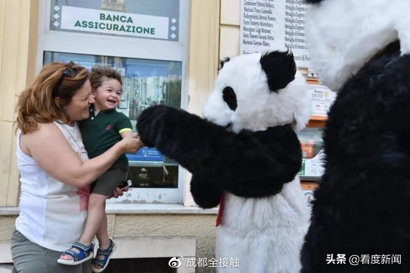 熊猫宝宝来中国,成都熊猫婴儿