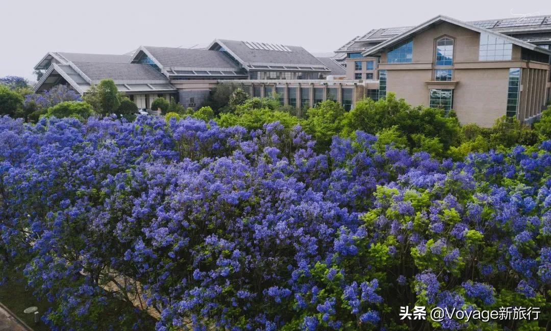 倒计时5天!这些奢华酒店的520打开方式,帮你称霸秀恩爱大赛