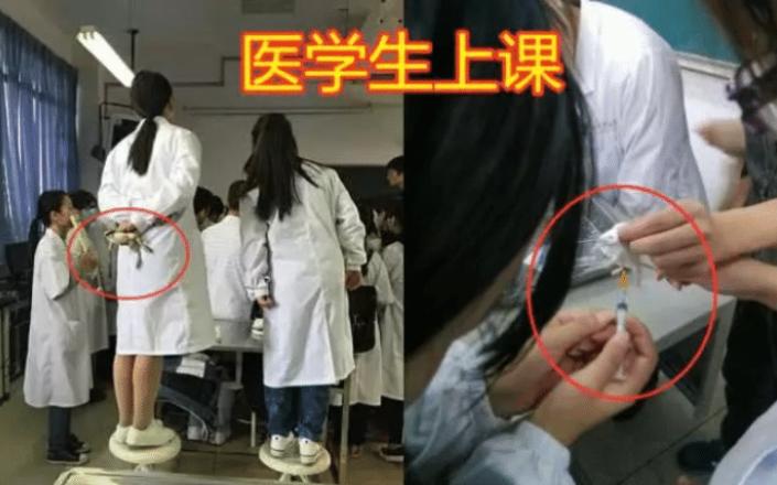 医学院校北大医学院排名,最新医学双一流排名