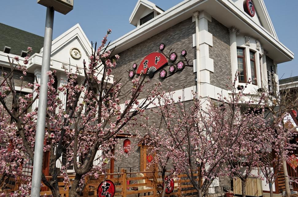 大连日本风情街人气爆满,日本最大风情街落户大连开业