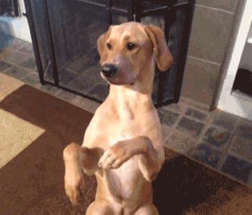 客服外包的哪些坑,为什么客服态度那么好