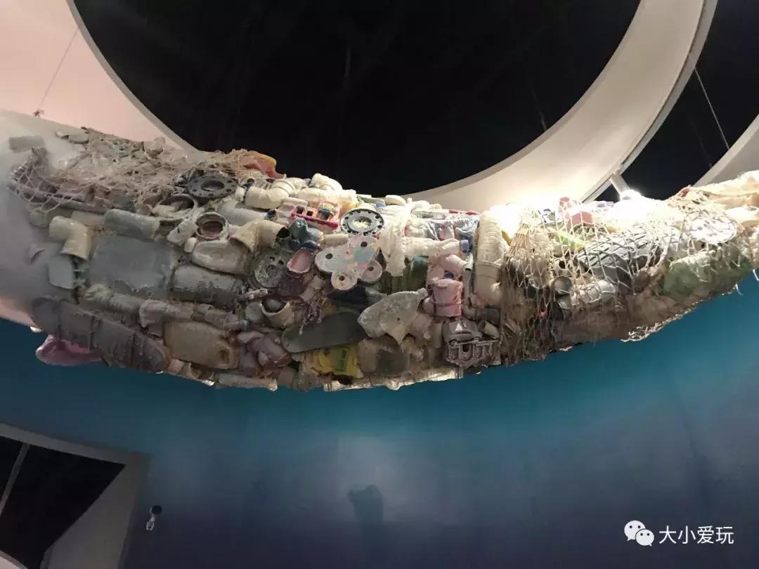 开放首日实探国家海洋博物馆，史上最抢手博物馆究竟长什么样