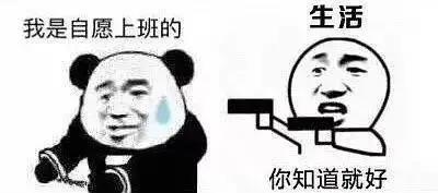 2020年最火网络情歌,最近十年网络词