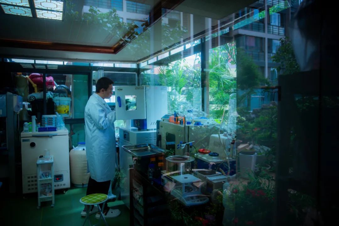 制药救子成功了吗,制药救子