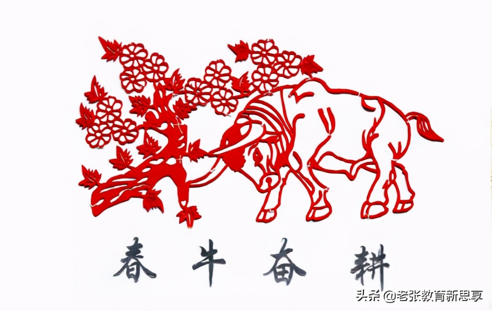 涨知识是什么原因,你知道牛为什么叫做牛吗