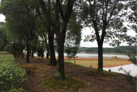 300万投入收获两千万回报，探究蓝招衍如何让农庄脱胎换骨？