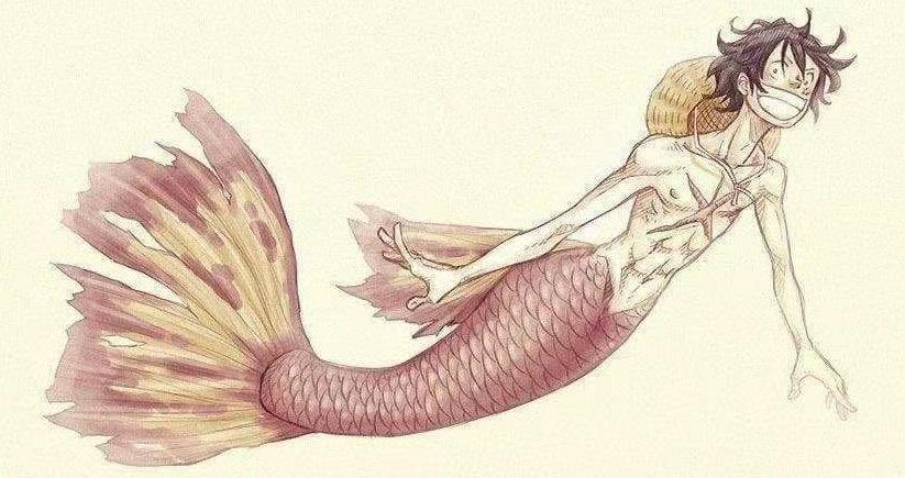 海贼王布鲁克初见娜美罗宾,娜美罗宾布鲁克变小