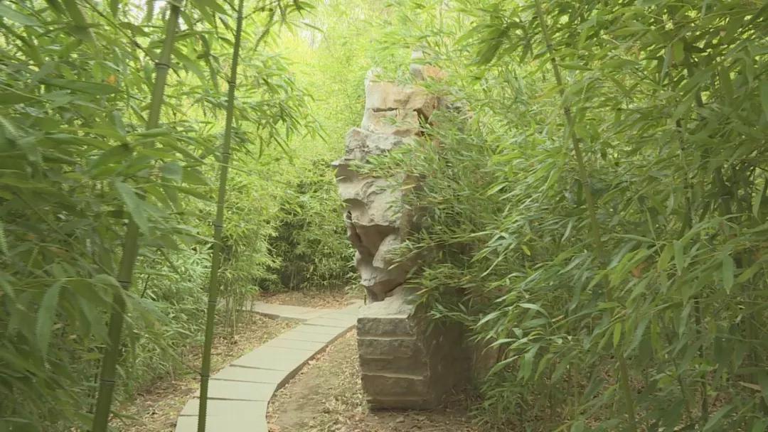 漫步亭台楼阁,河北亭台楼阁避暑山庄