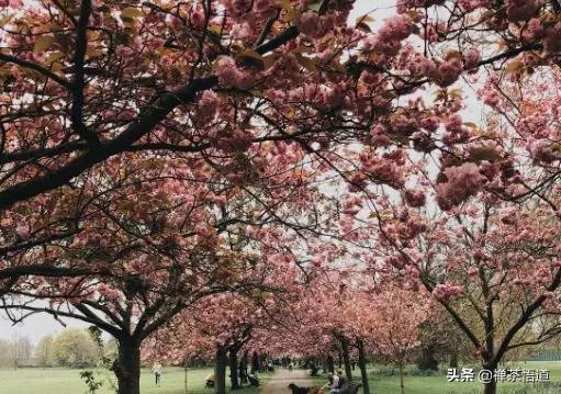 夫妻三观不合指哪三观,三观不合一般都是哪三观