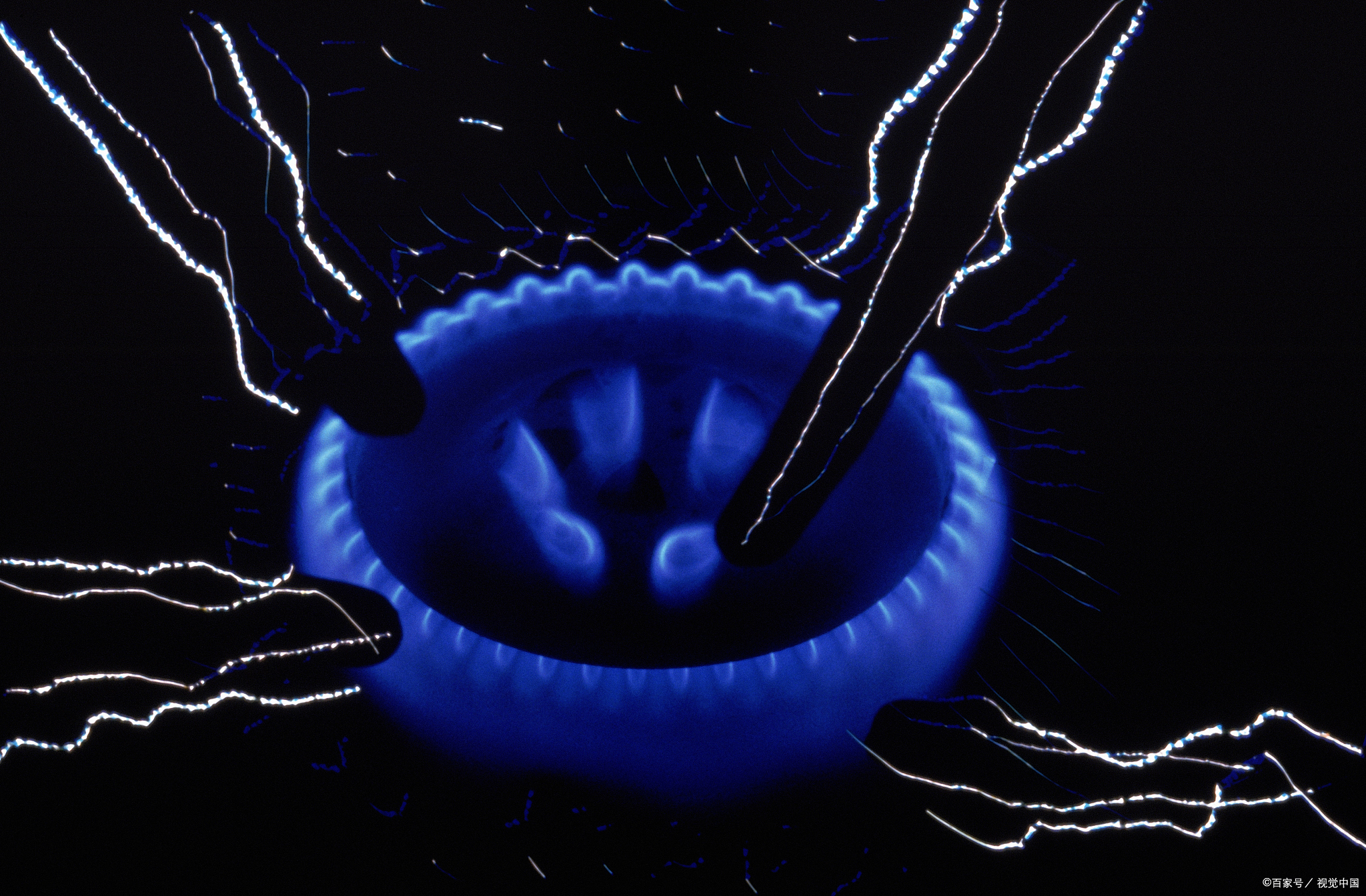 eac认证新闻,eac认证企业