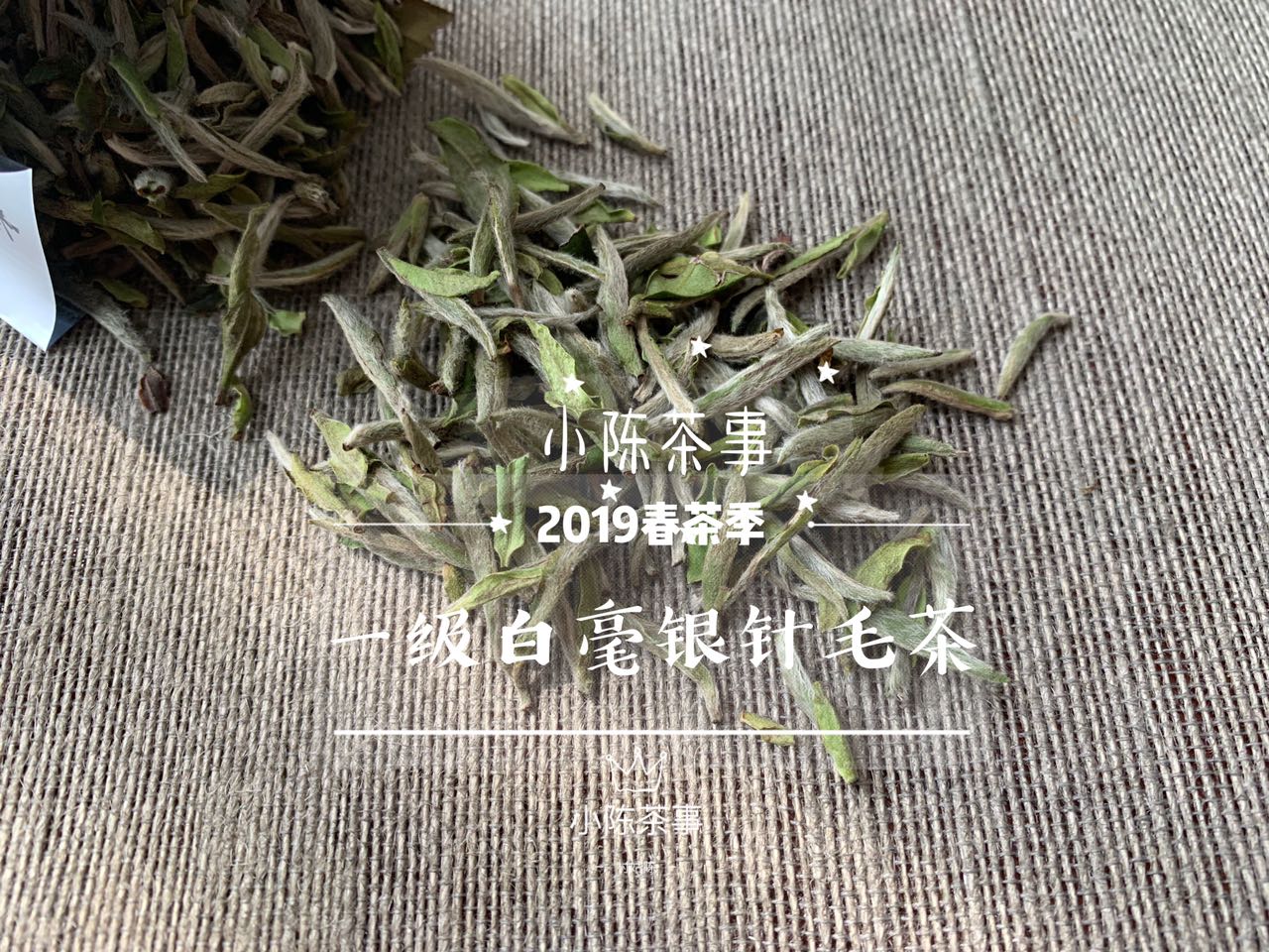 分享正宗福鼎白茶,白茶的十个问答