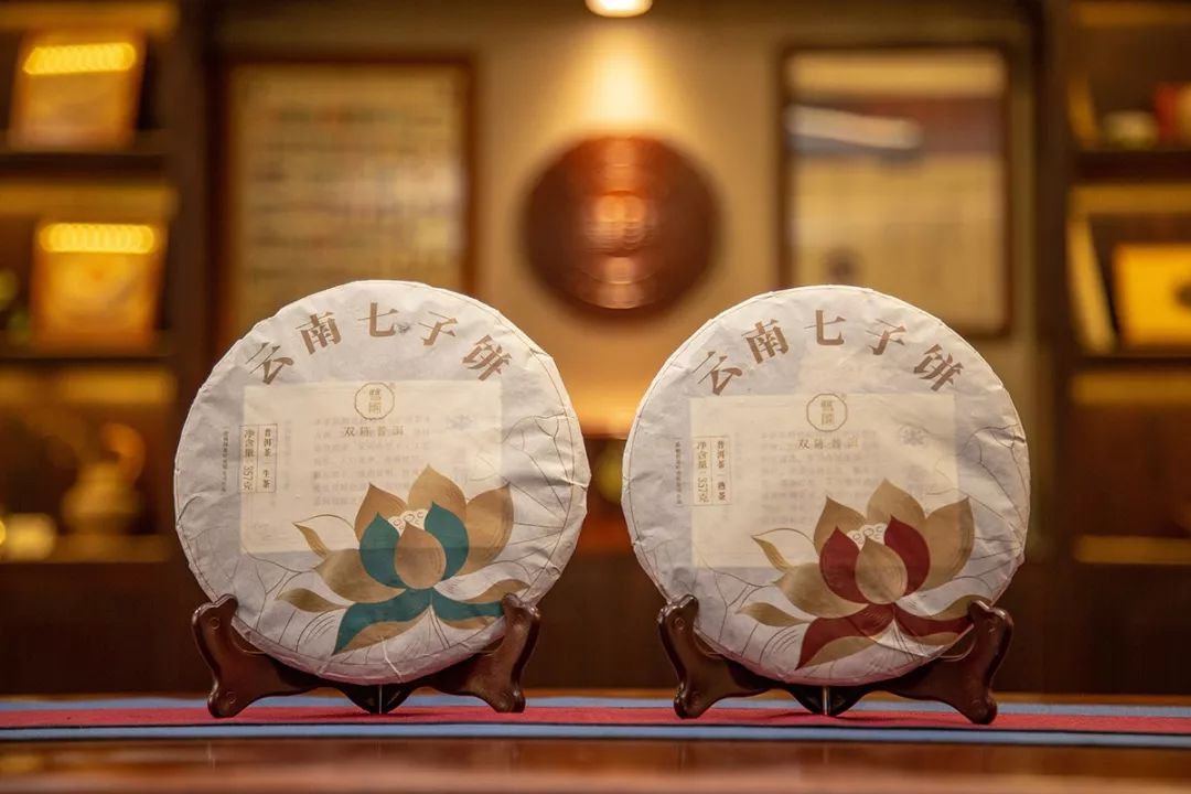 一手揭秘：双陈普洱2019莲饼即将重磅发布，5大关键点抢先看