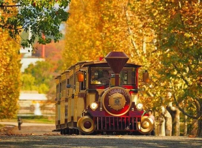 和大家一样去了大阪,但我不想随波逐流