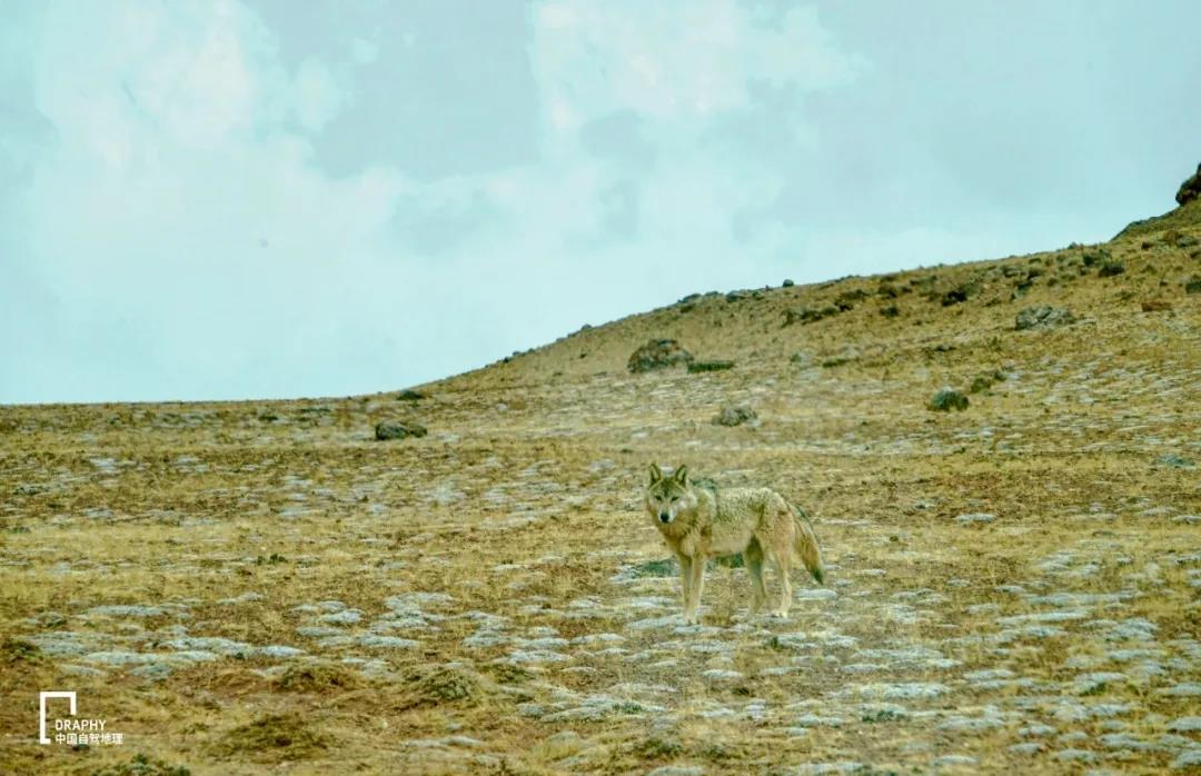 从新疆穿越克里雅古道至西藏,克里雅古道穿越沿途风景