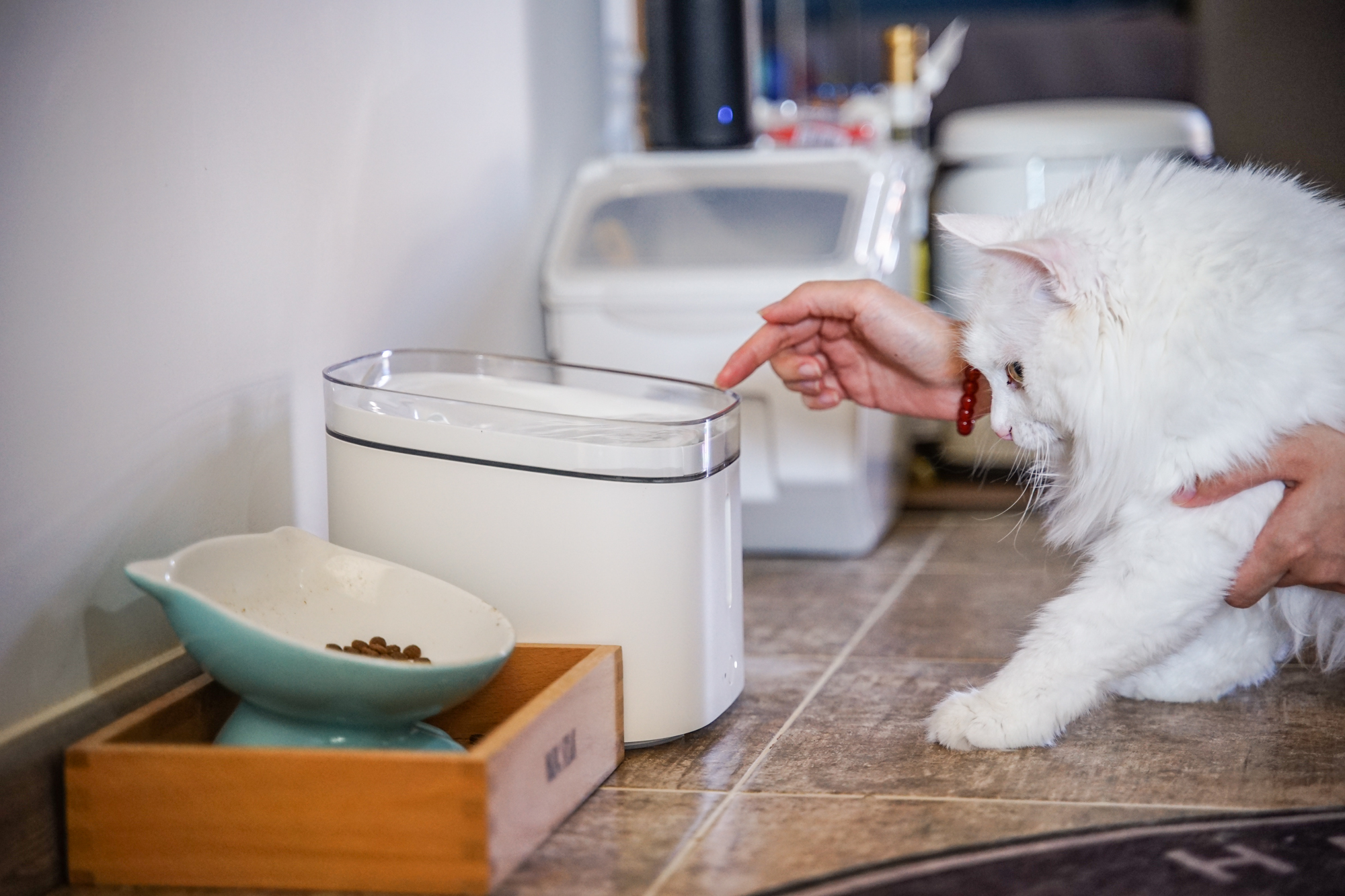 小米米家智能宠物饮水机使用方法,小米智能饮水机宠物测评