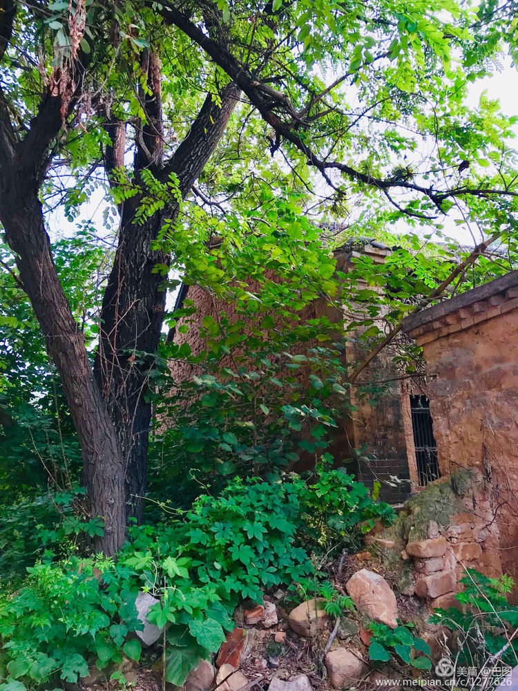 新安县铁门镇庙头村新旧照片对比,新安县庙头村的老照片