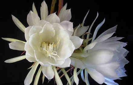 2018涓浗鍗佸ぇ閿﹂菠鎺掑悕,2018鍗佸ぇ缃戠粶鐑瘝閿﹂菠