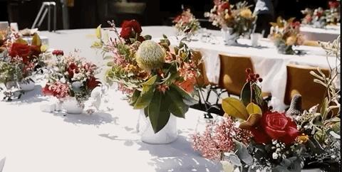 悉尼圣诞节美食攻略,悉尼正能量