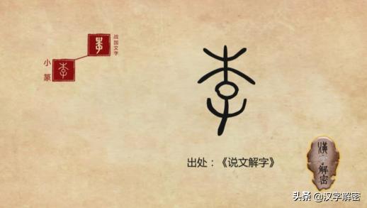 李姓朋友注意：《说文解字》中，竟是如此解释“李”字，值得收藏
