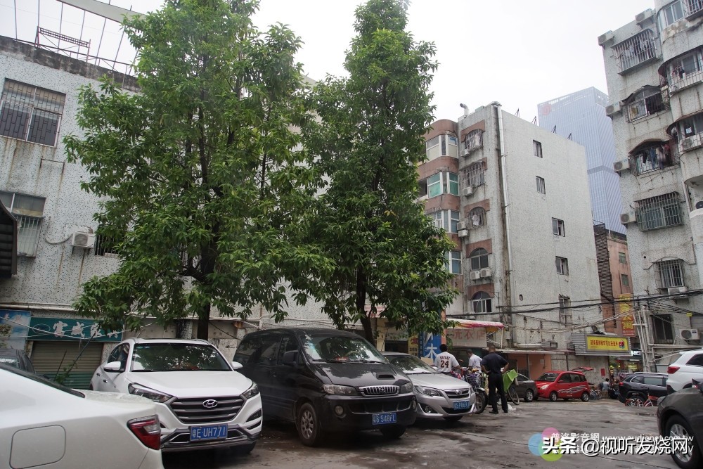 德生顶级音响,tecsun德生音响