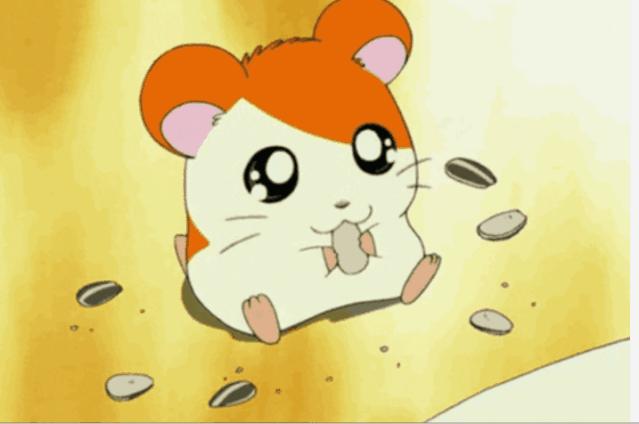 纳尼?为什么日本人不会嗑瓜子?看到中国人单手“吃”惊呆!