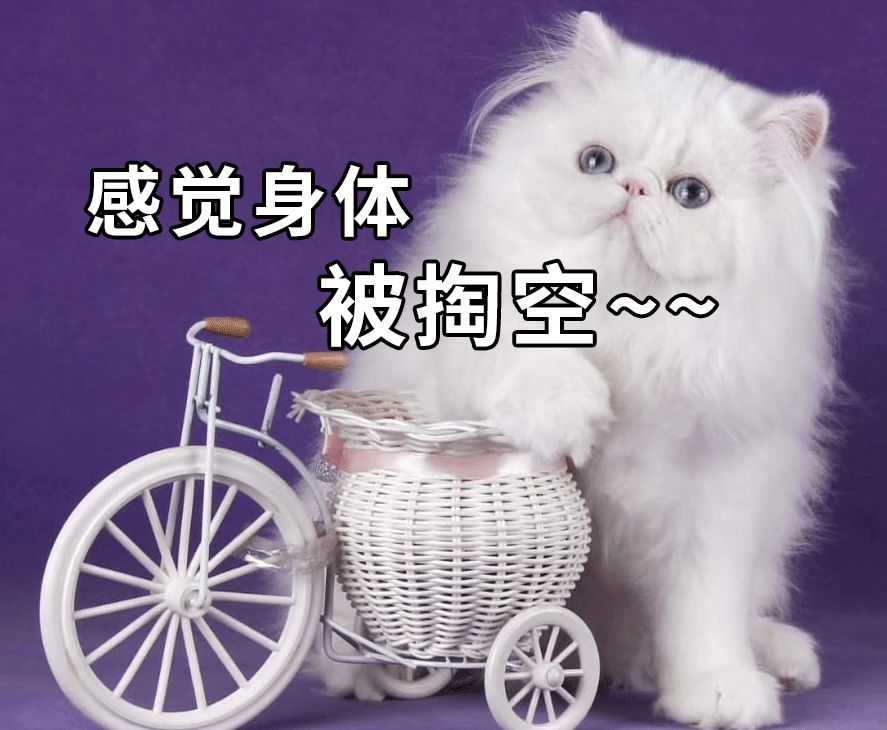 疫情期间如何快速打通现金流,疫情期间如何回笼现金流