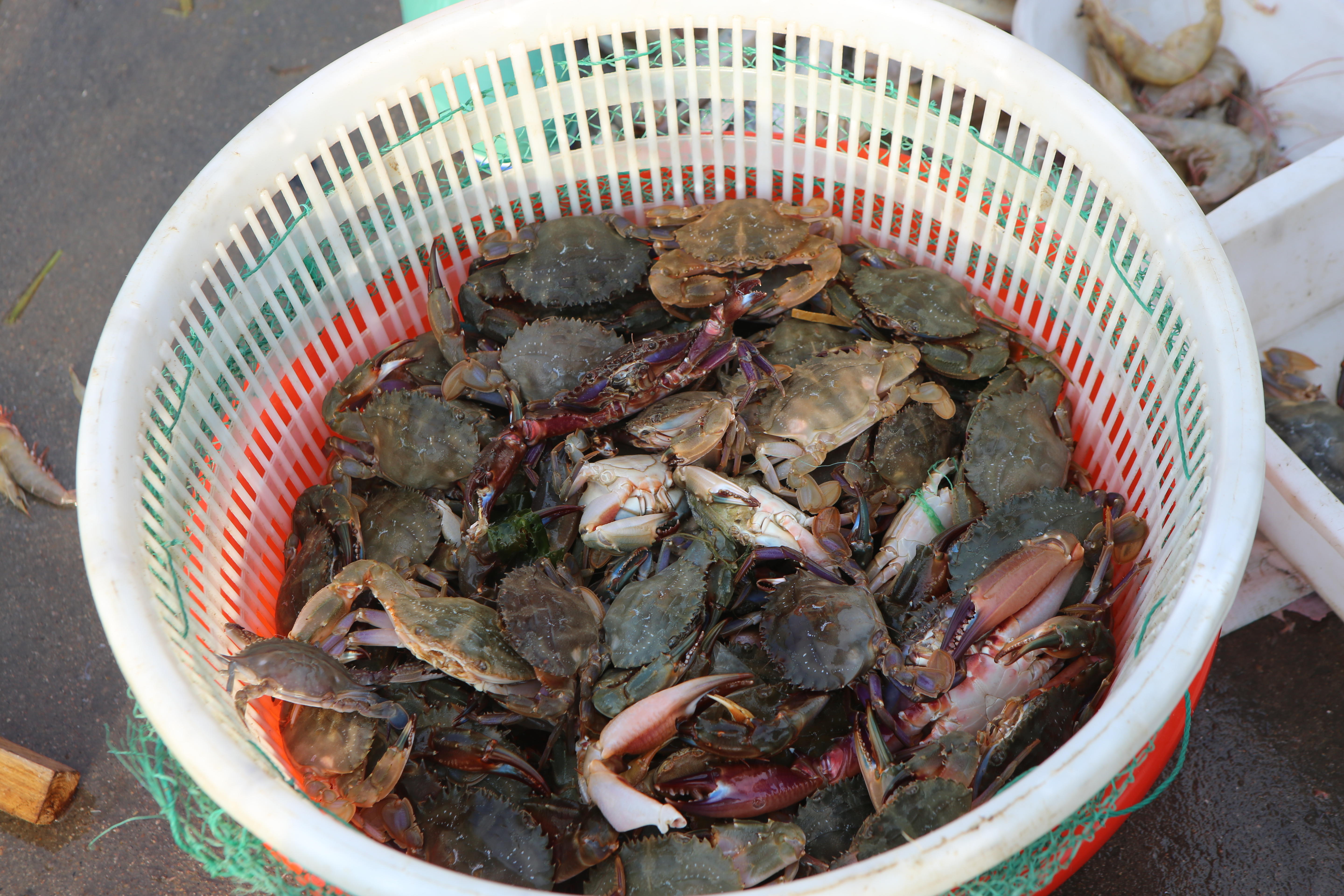 海滨度假推荐,海滨旅游休闲度假