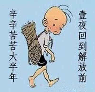 女研究生炒股亏光,女硕士炒股破产