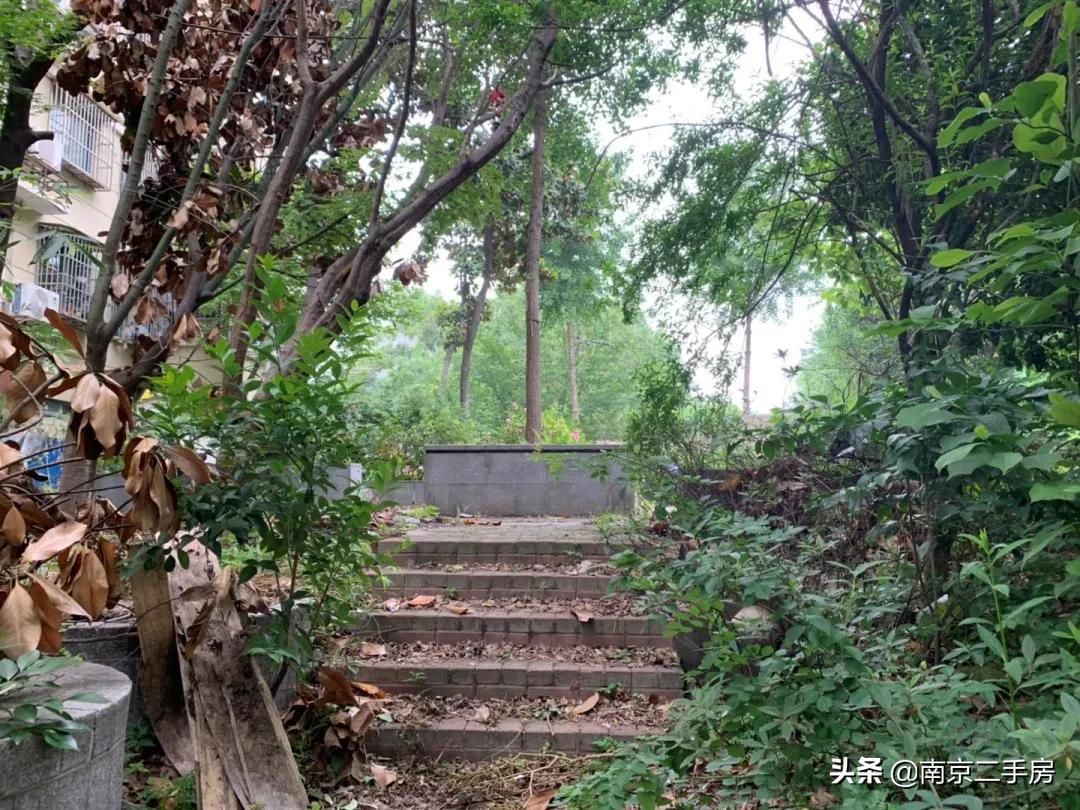 周边小区房价暴涨,垃圾遍地的小区