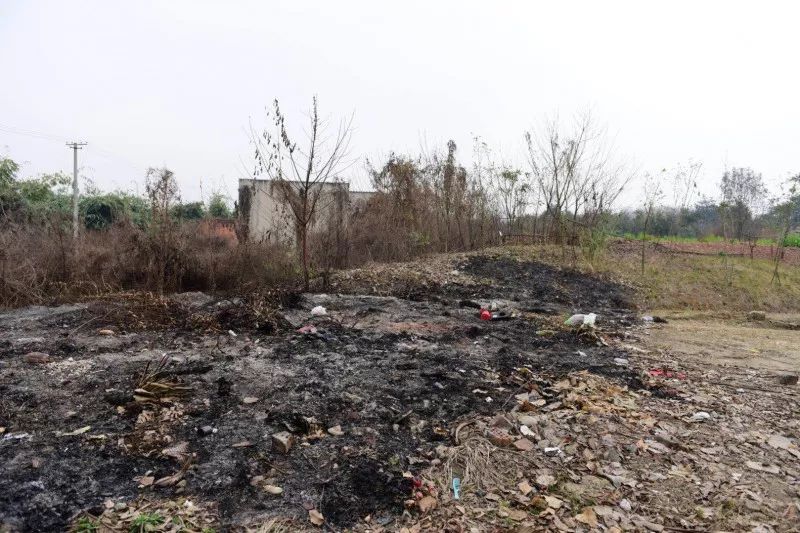 成都市秀丽东方,成都秀丽东方还在开放吗