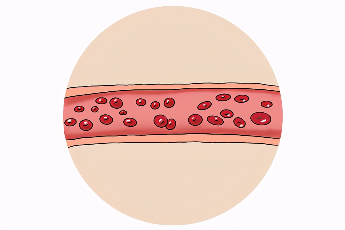 50岁眉毛长长又翘起是什么征兆,五十岁长出长寿眉毛是怎么回事