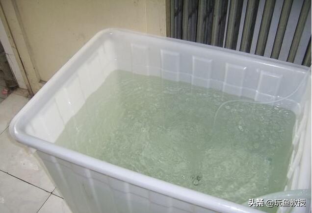 鱼缸换了水鱼怎么办,鱼缸刚换的水就变浑浊怎么回事