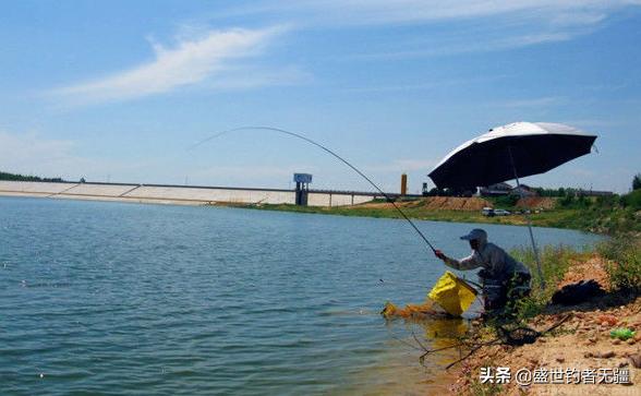 黑坑钓鲫鱼技巧用竿,黑坑钓鲫鱼19调还是28调鱼竿好