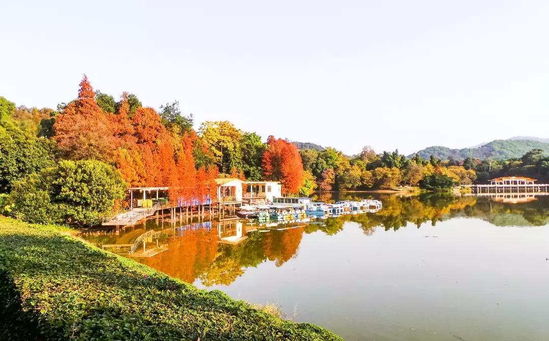 广州白云山风景区最新通知,广州白云山南麓片区改造